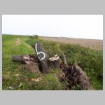 land art.jpg